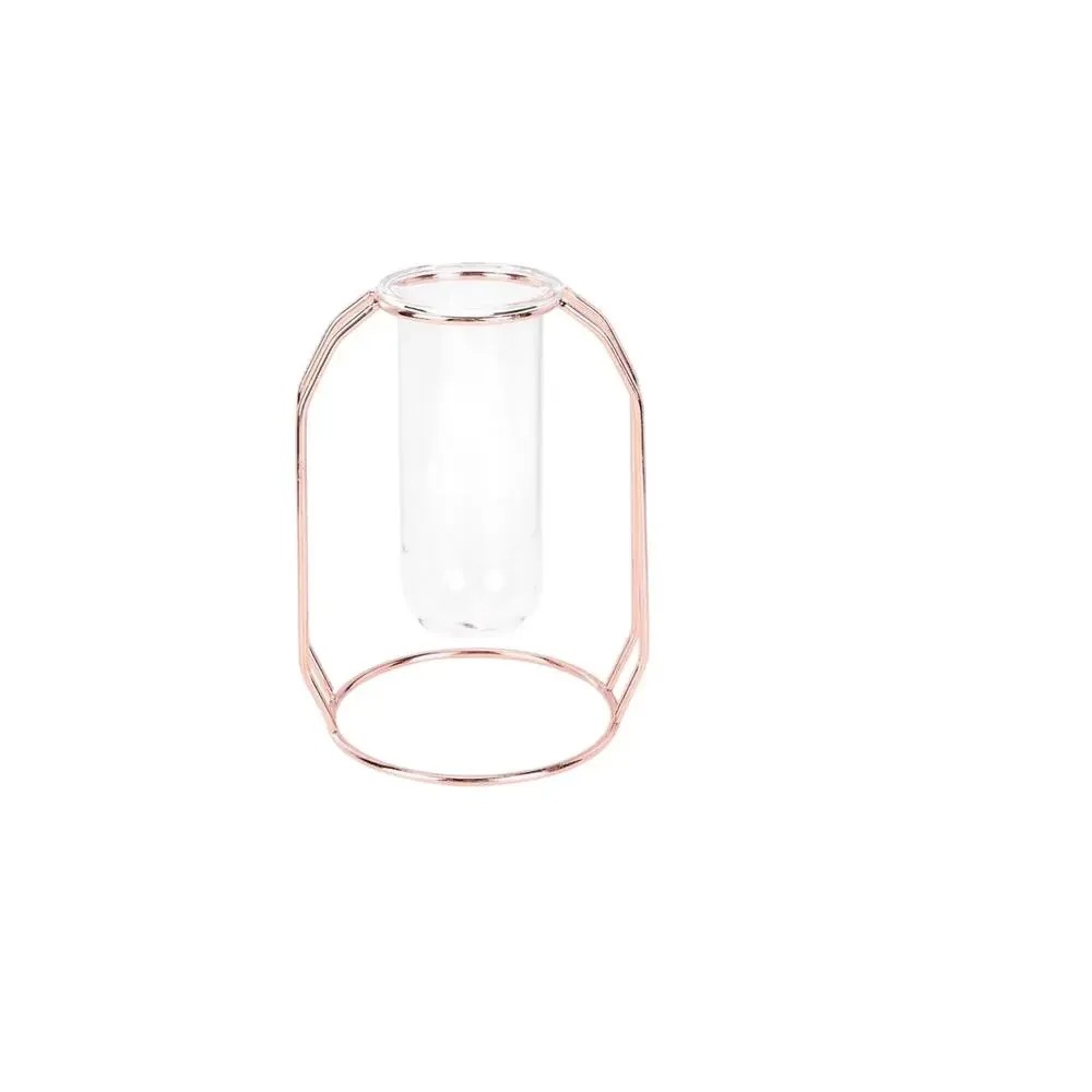 Rose Find Glass Bud Case Bud Vase Glass Vase Center Piece